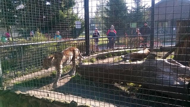 zoo 18